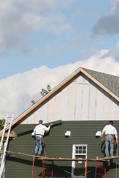 Best Insulated Siding Installation  in Ol, LA